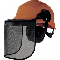 Casque type forestier complet