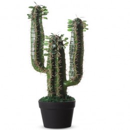Cactus artificiel pour aménagements d'intérieurs