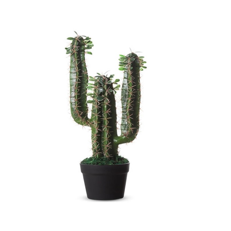 Cactus artificiel pour aménagements d'intérieurs