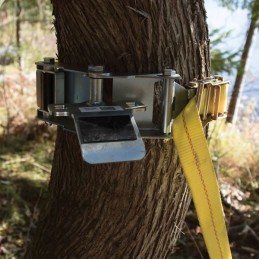 Système d'ancrage treuil pour arbre